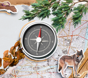 Colagem visual com bússola sobre um mapa, cercada por galhos, folhas e a imagem de um lobo, remetendo a direção, estratégia e exploração.